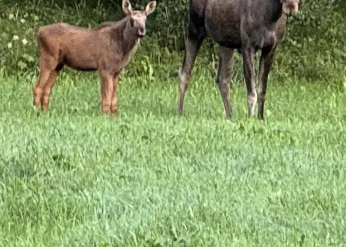 Super Uitzicht * Kjerringoy